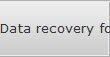 Data recovery for Whitney data